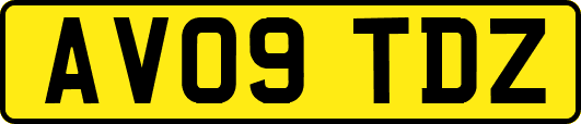 AV09TDZ