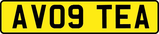 AV09TEA