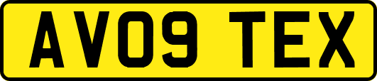 AV09TEX