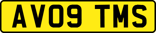 AV09TMS