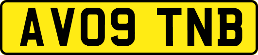 AV09TNB