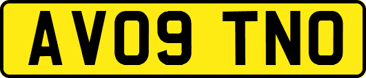 AV09TNO