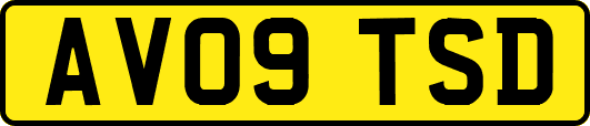 AV09TSD