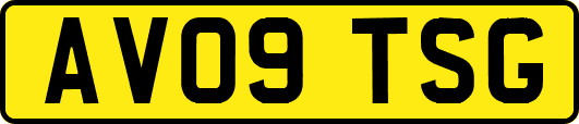 AV09TSG