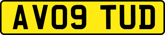 AV09TUD