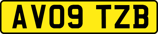 AV09TZB