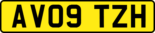 AV09TZH