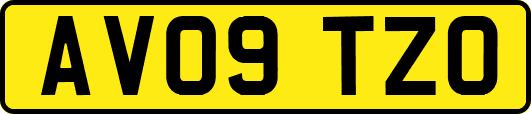 AV09TZO