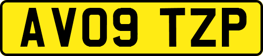 AV09TZP