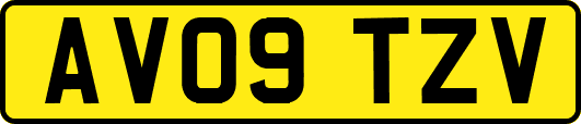 AV09TZV
