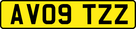 AV09TZZ