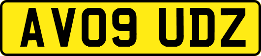 AV09UDZ