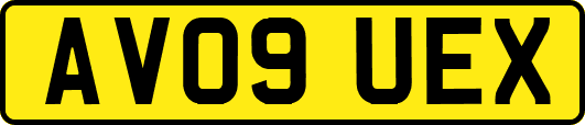 AV09UEX
