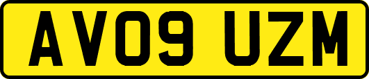 AV09UZM