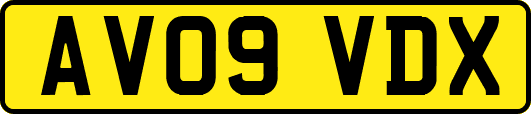 AV09VDX