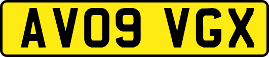 AV09VGX