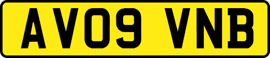AV09VNB