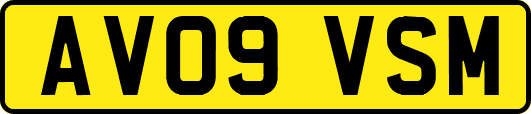 AV09VSM