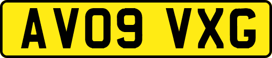 AV09VXG