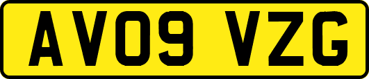 AV09VZG
