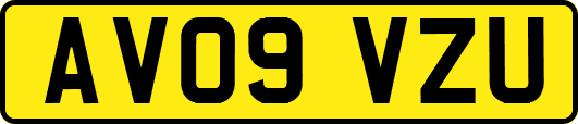 AV09VZU