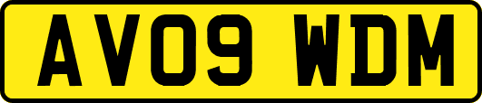 AV09WDM