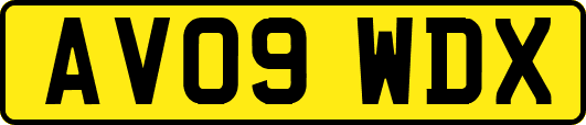 AV09WDX