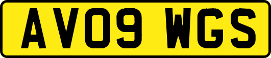 AV09WGS