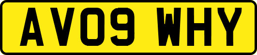 AV09WHY