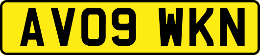AV09WKN