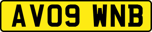 AV09WNB