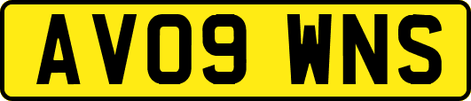 AV09WNS