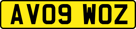 AV09WOZ