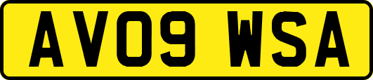 AV09WSA