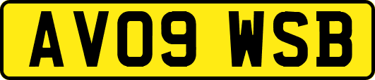 AV09WSB