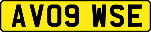 AV09WSE