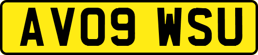 AV09WSU