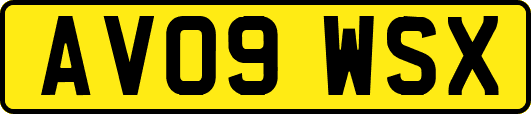 AV09WSX