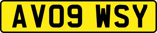 AV09WSY