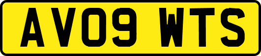 AV09WTS