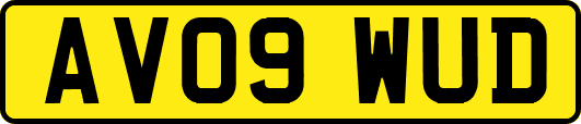 AV09WUD