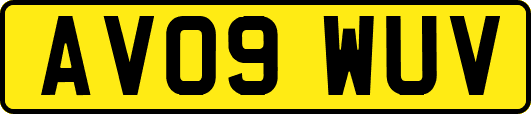 AV09WUV