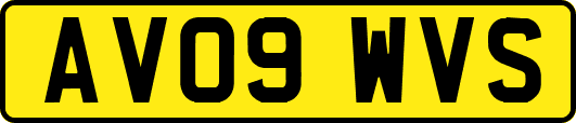 AV09WVS