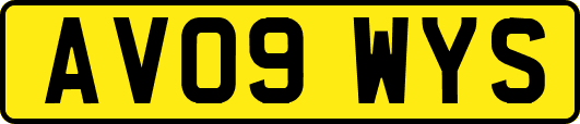 AV09WYS
