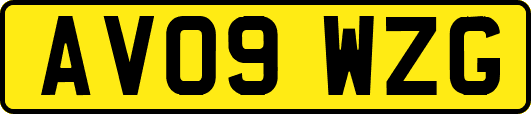 AV09WZG