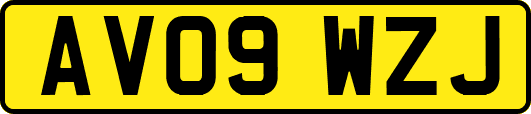 AV09WZJ