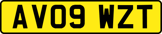AV09WZT