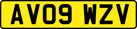 AV09WZV