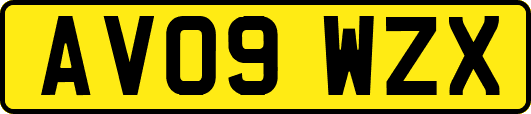 AV09WZX