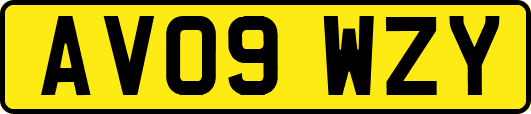 AV09WZY